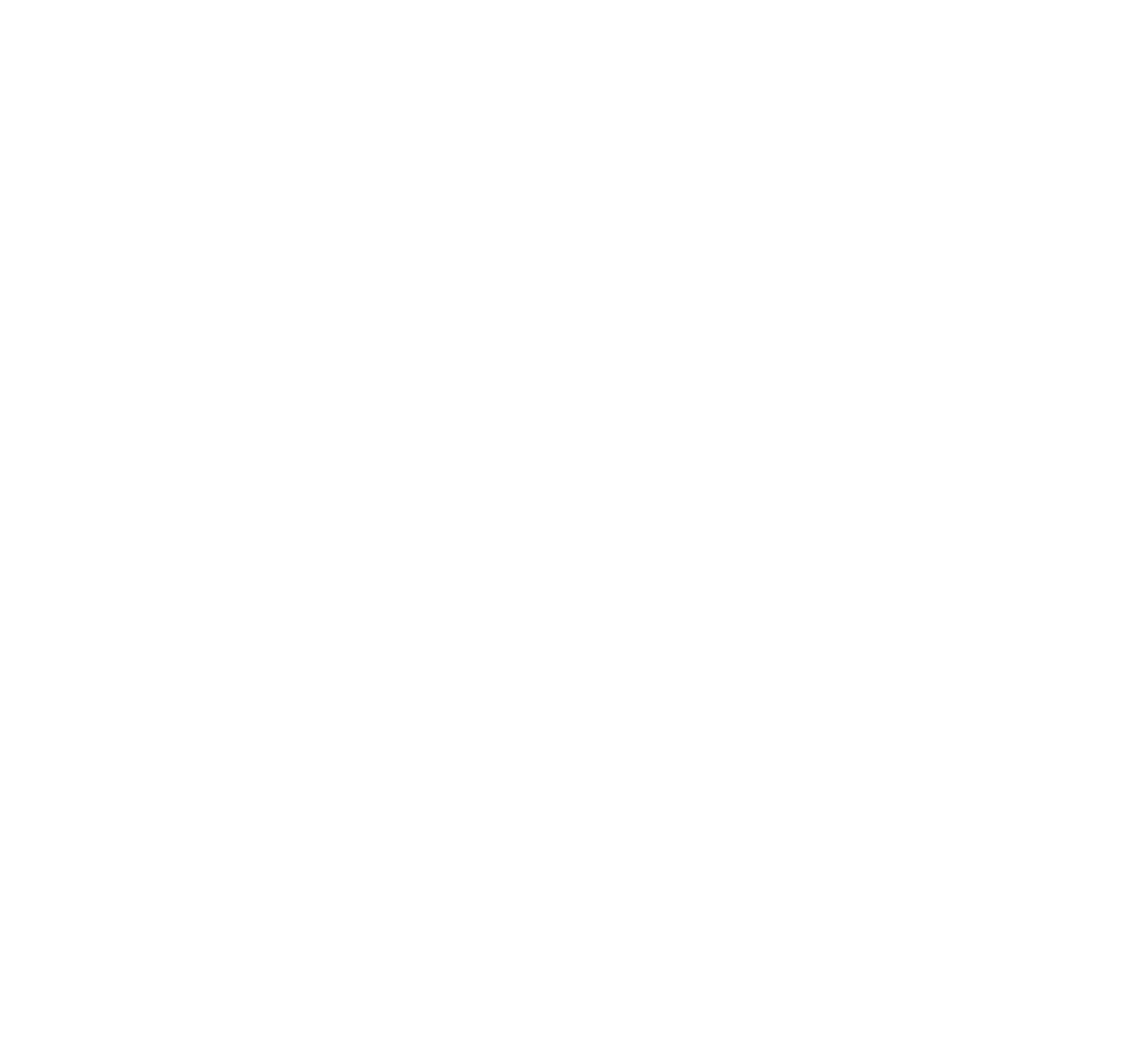 CCTI Symbol White CCTI Symbol White